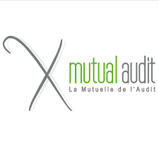 Mutual Audit